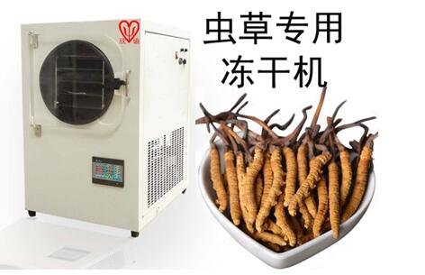 蟲(chóng)草小型凍干機(jī)實(shí)驗(yàn)室XY-FD-L4中藥冷凍干燥機(jī)小型家用真空冷凍干燥機(jī)